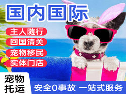 吉安井冈山机场快递国际宠物托运 【国